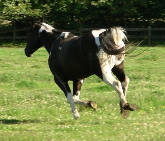 enlarge photo