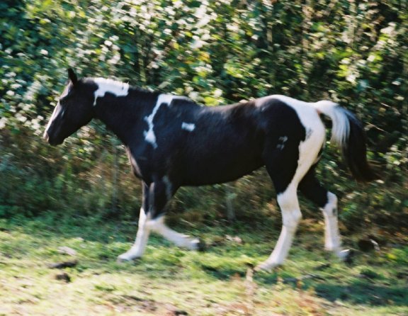 enlarge photo