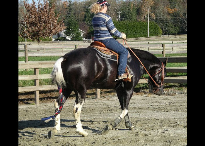 enlarge photo